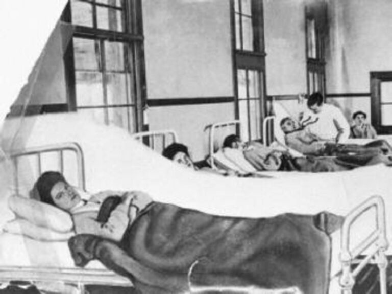 Did Typhoid Mary really exist?