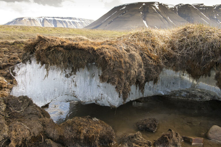 How much of the earth’s surface is permanently frozen?
