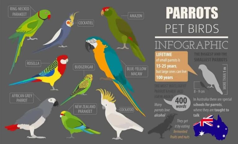 What is the most common species of domesticated bird?