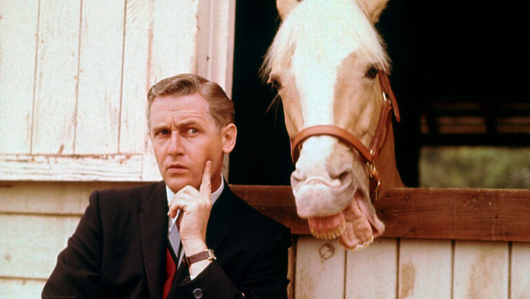 Who was the voice of Mr. Ed?