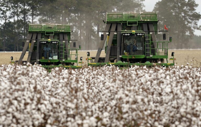 At its height, how much cotton did the South produce?