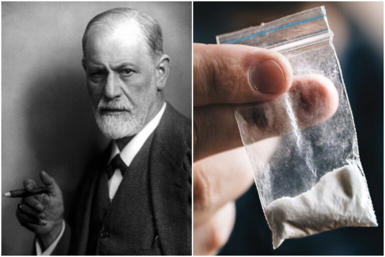 Did Sigmund Freud ever visit the U.S.?