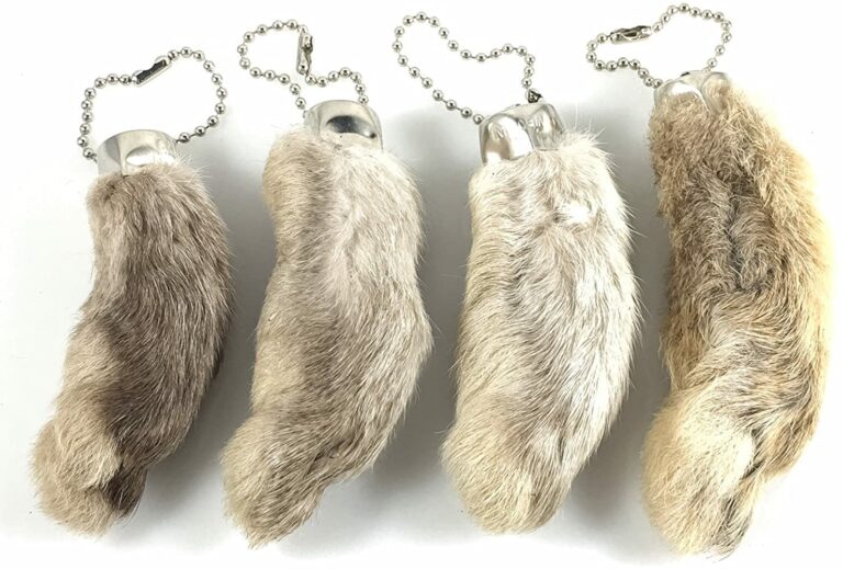How did the rabbit’s foot come to be considered a good luck charm?