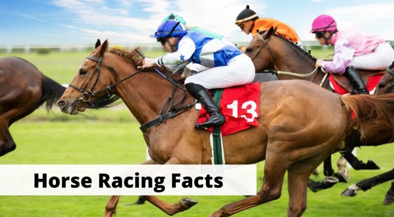 How long was Secretariat’s horse racing career?