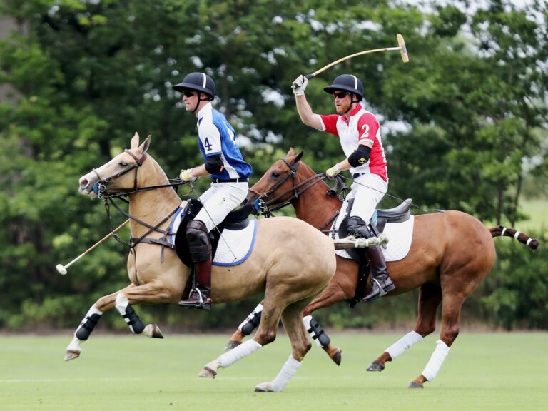 How many players do you need to start a polo game?