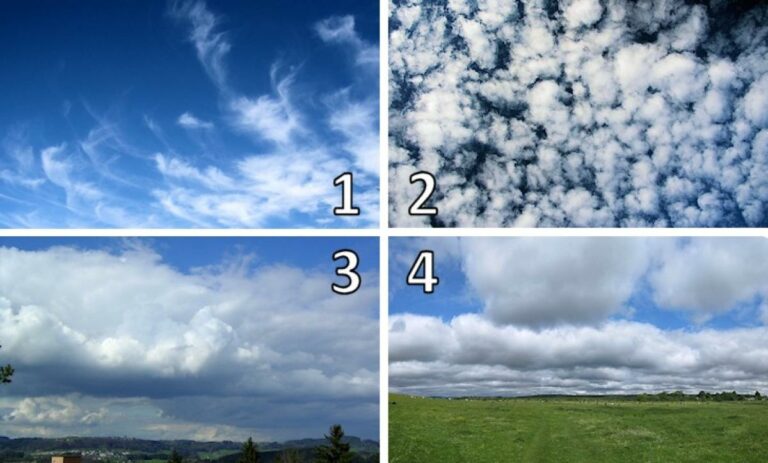 How many types of clouds are there?