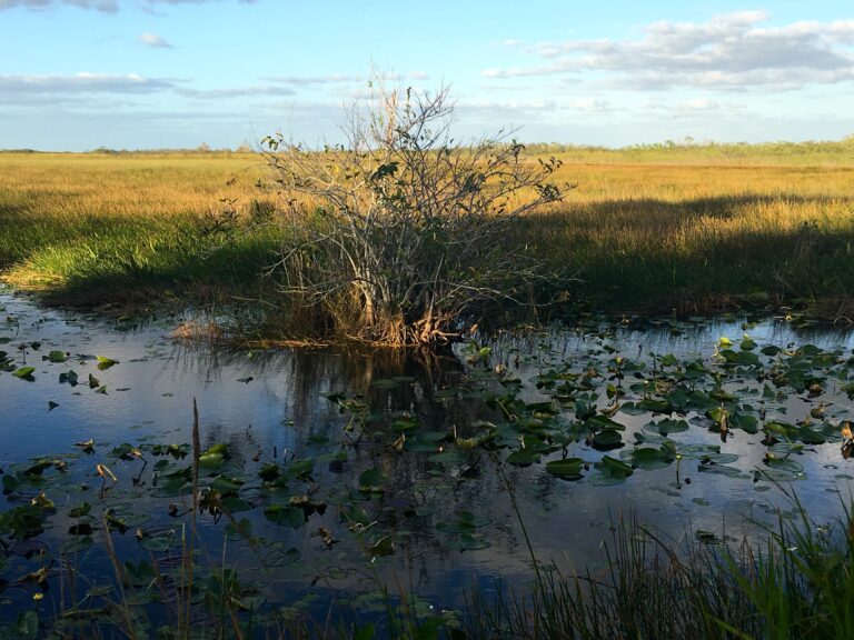 What Indian war was fought in the Florida Everglades?