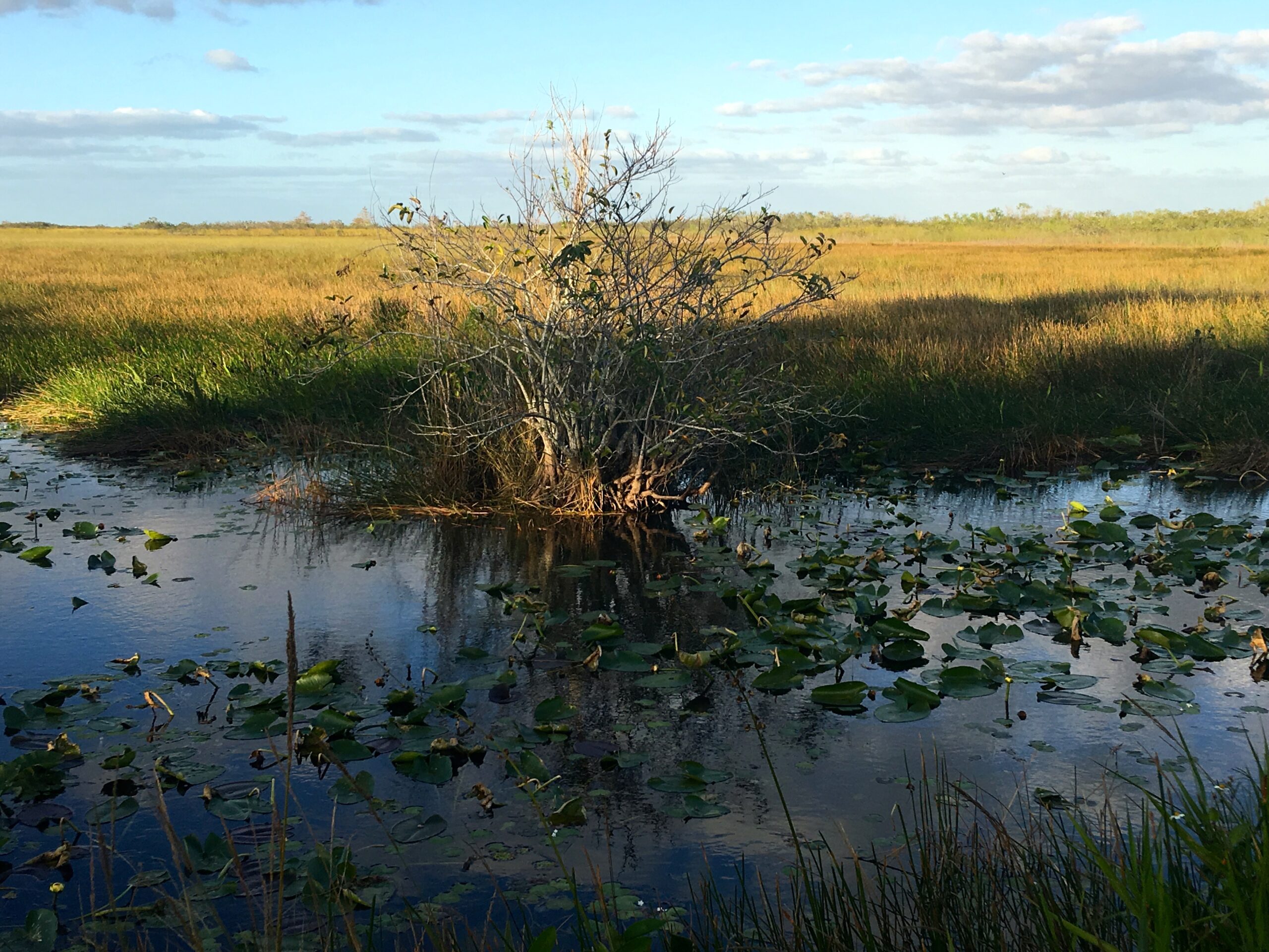 what indian war was fought in the florida everglades