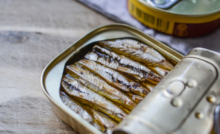 What kind of fish is a sardine?