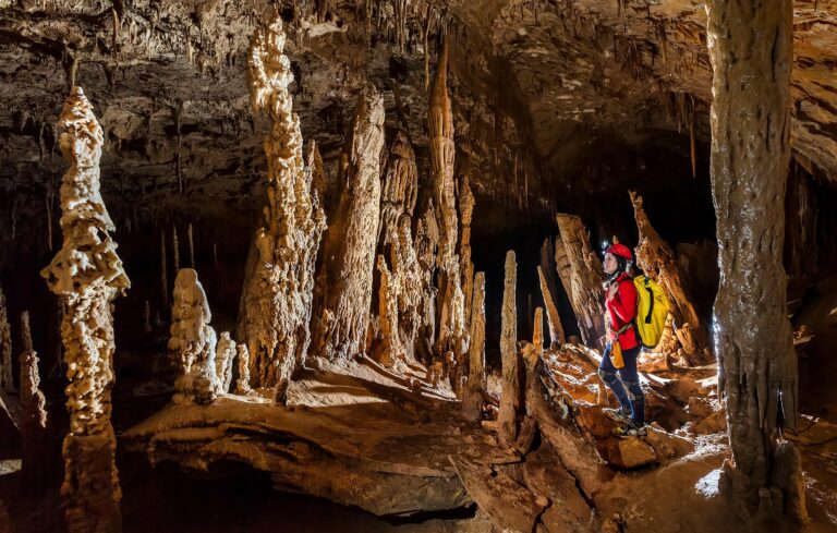 What’s the difference between a stalagmite and a stalactite?