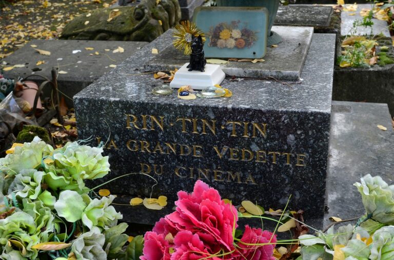 Where is Rin Tin Tin buried?