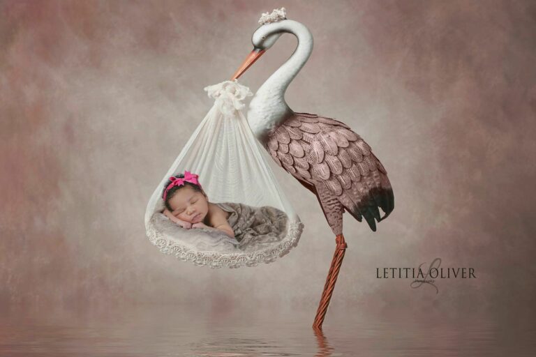Who came up with the idea that newborn babies are delivered by the stork?