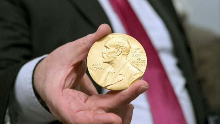 Who supplies the money for the Nobel Peace Prize?